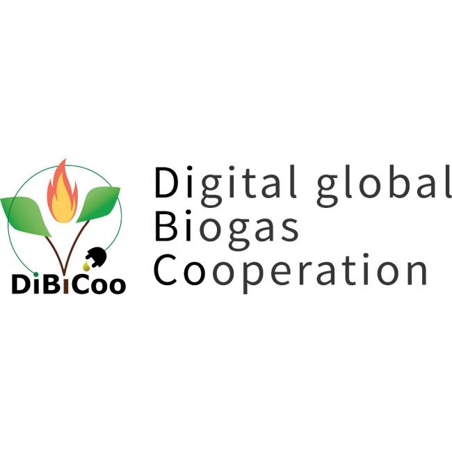 A-year-in-DiBiCoo-Project (2)