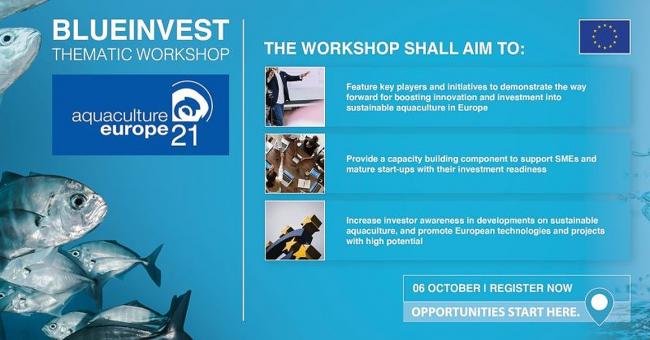Blue Invest.v1