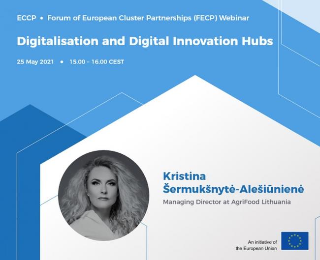 FECP webinar banner.v1