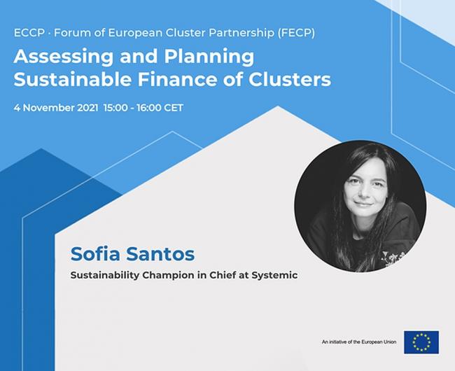 FECP webinar banner.v1_0