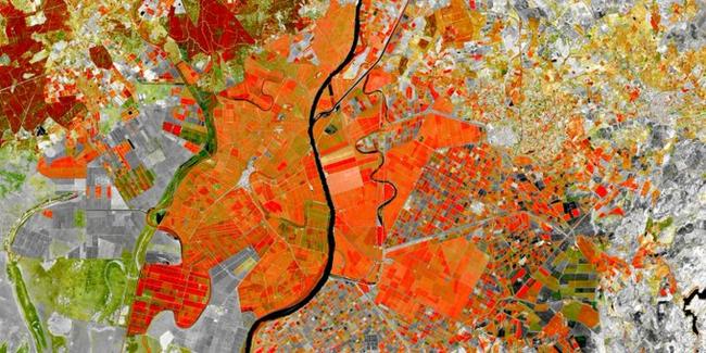 agricultural data image.v1